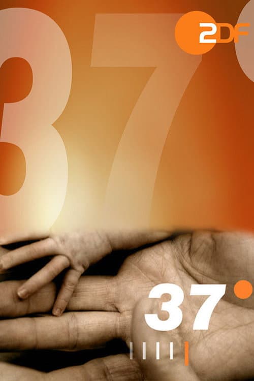 37 Grad (1994) poster