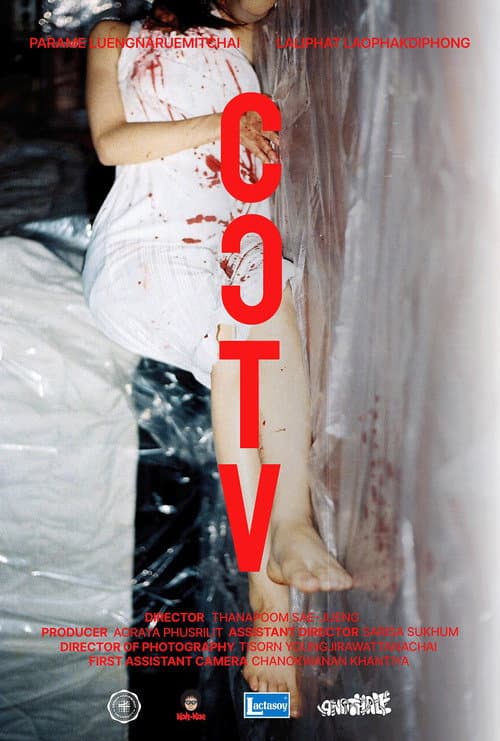 CCTV (2025) poster