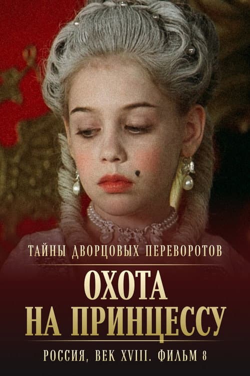 Secrets of Palace coup d'etat. Russia, 18th century. Film №8. Part 2. Hunting for a Princess (2011) poster