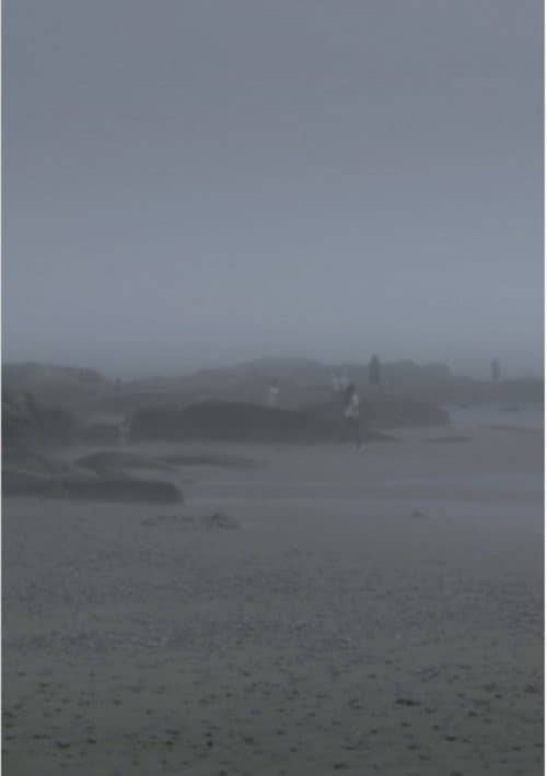 The Fog Has Covered The Moment Again poster