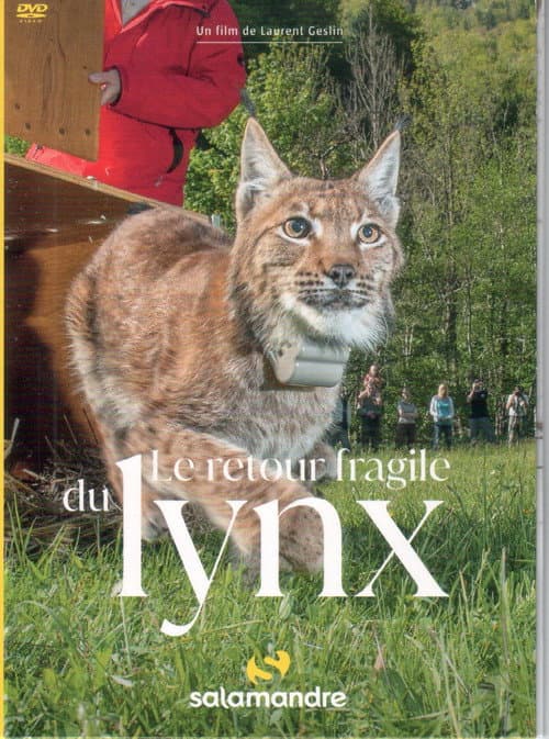 The Fragile Return Of The Lynx poster
