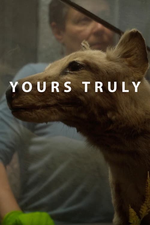 Yours Truly (2018) poster