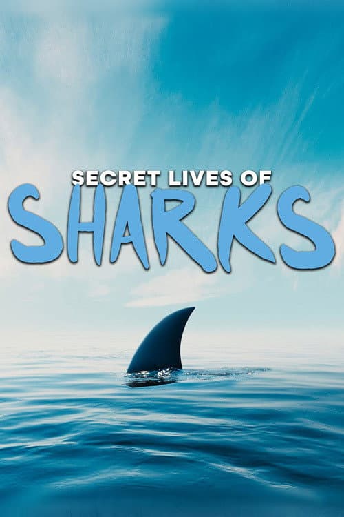 The Secret Lives of Sharks (2021) poster