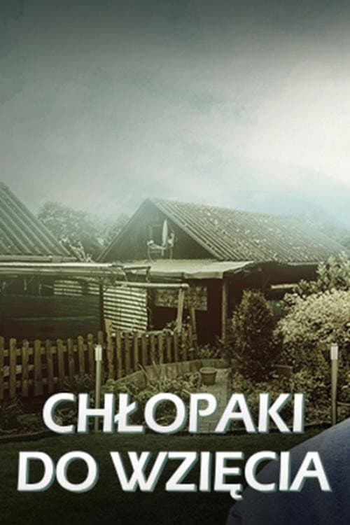 Chłopaki do wzięcia (2012) poster