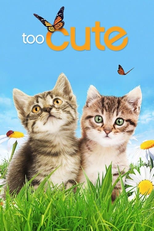 Too Cute (2011) poster