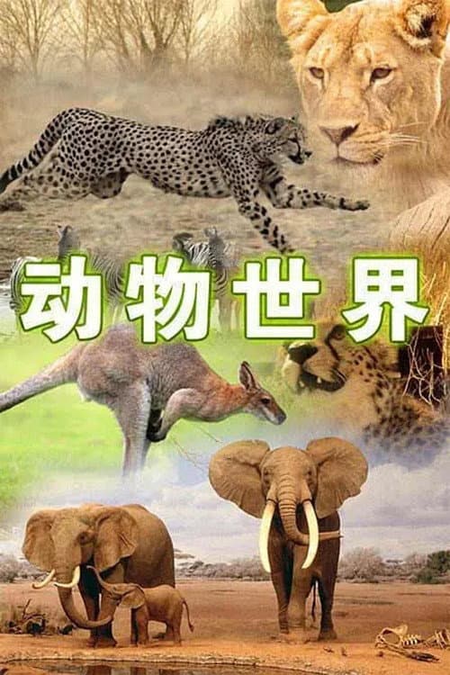 动物世界 (1981) poster