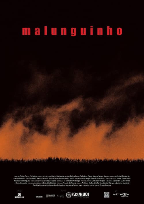 Malunguinho (2013) poster