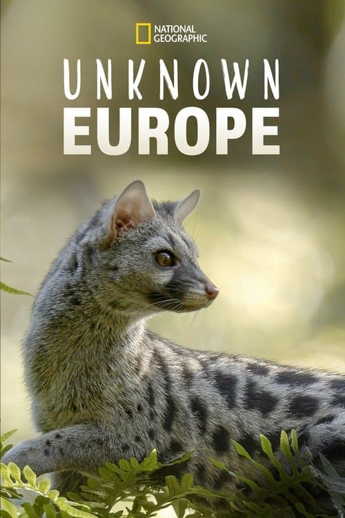 Hidden Wonders of Europe (2022) poster