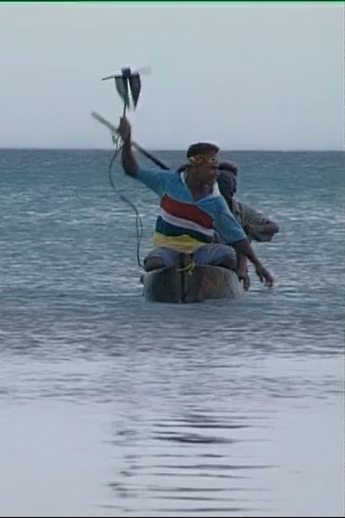 Tuo Dolphins (2000) poster