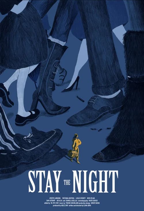 Stay The Night poster