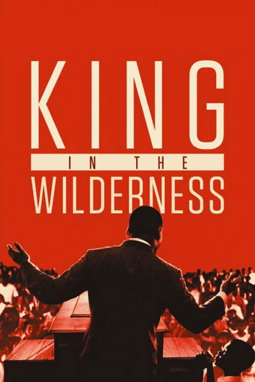 King in the Wilderness (2018) poster