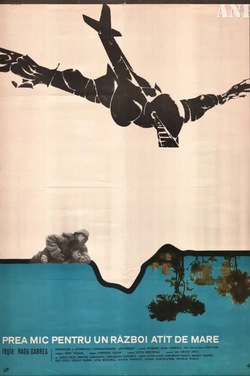 Too Little for Such a Big War (1970) poster