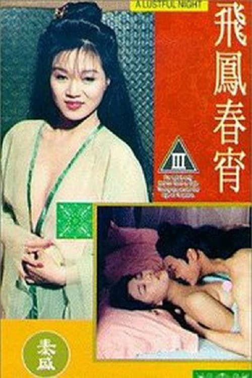 A Lustful Night (1993) poster