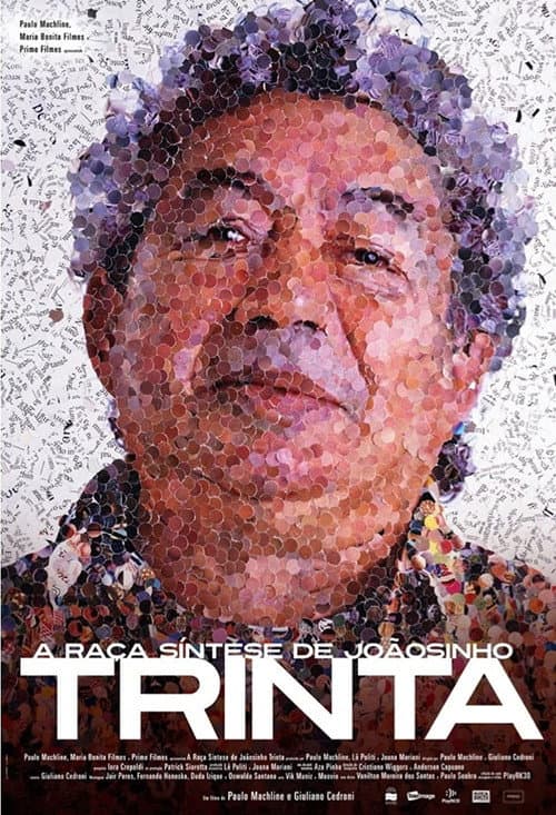 A Raça Síntese de Joãosinho Trinta poster