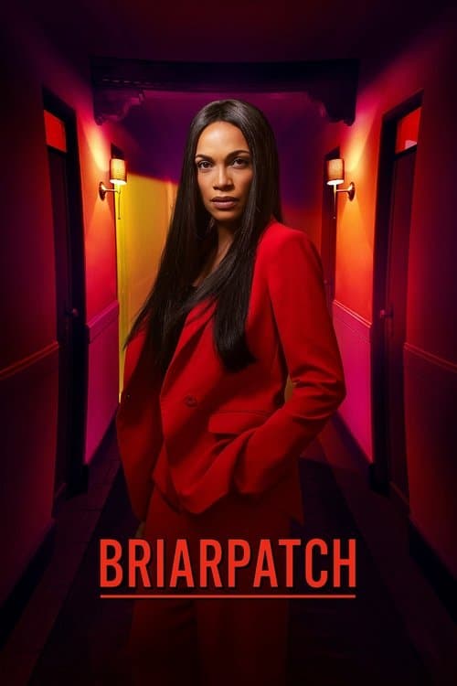 Briarpatch (2020) poster