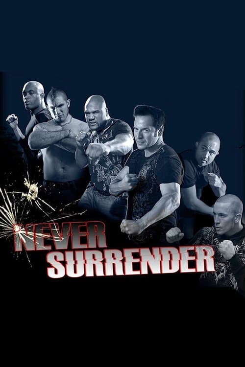 Never Surrender (2009) poster
