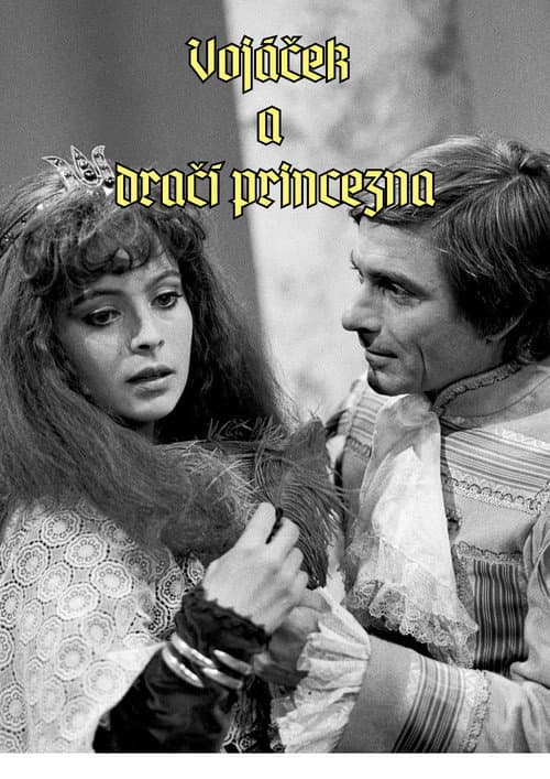 Vojáček a dračí princezna poster