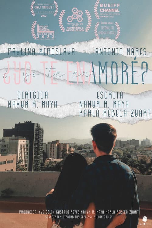 Did I Fall In Love With You? poster