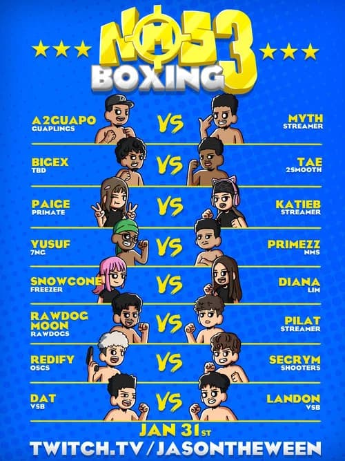 NMS Boxing poster