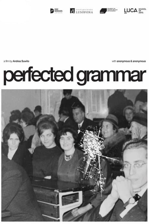 Perfected Grammar (2024) poster