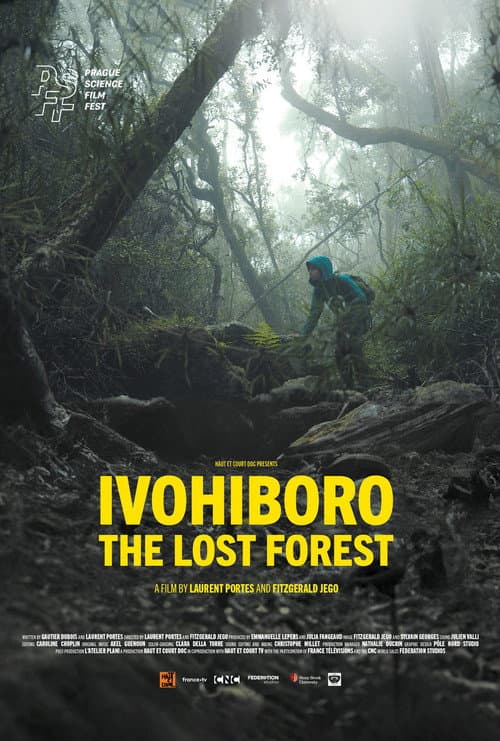 Ivohiboro, The Lost Forest poster