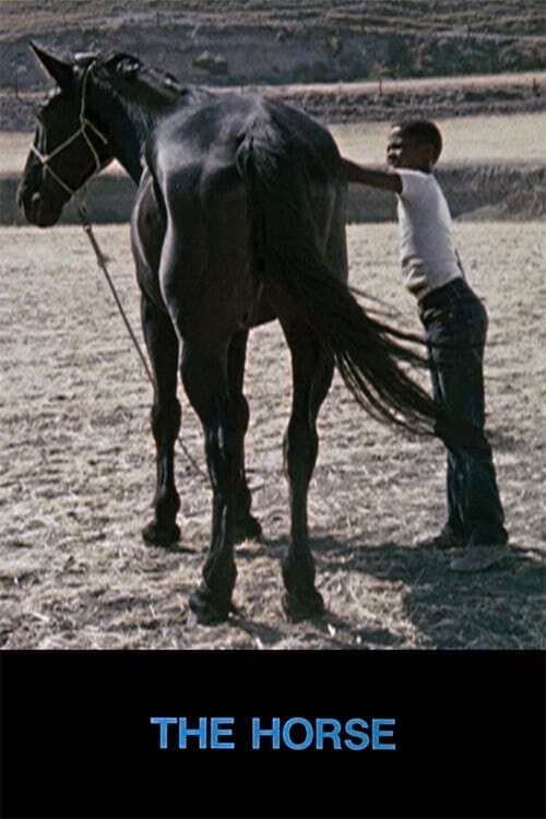 The Horse (1973) poster