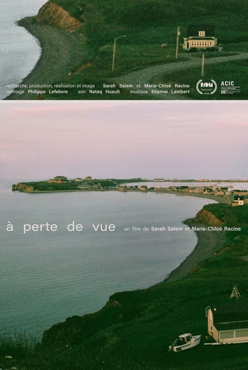 Vanishing Point poster