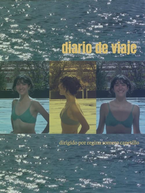 diario de viaje poster