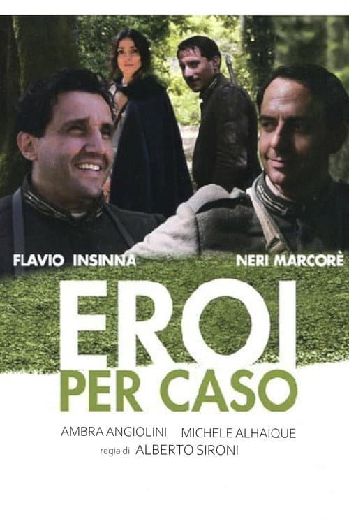 Eroi per caso (2011) poster
