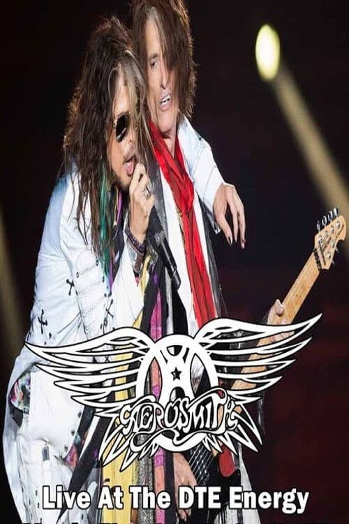 Aerosmith Live in Detroit (2014) poster