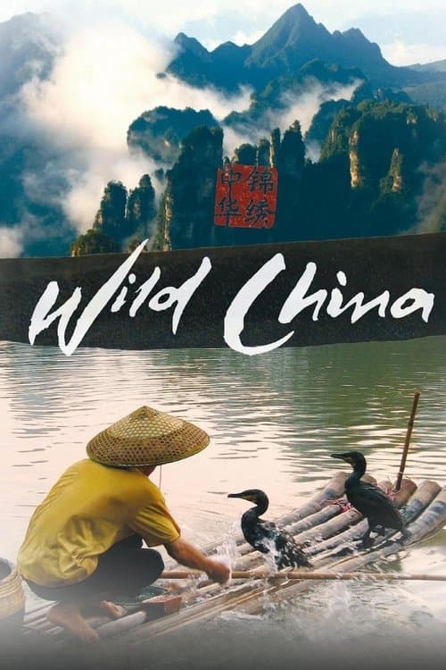 Wild China (2008) poster