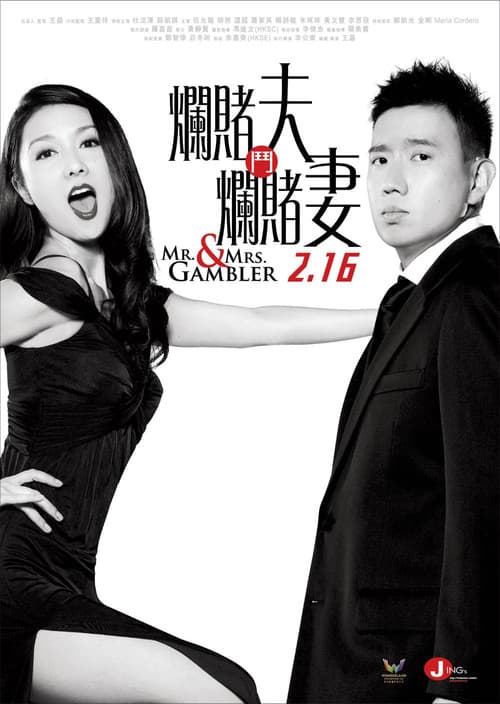Mr. & Mrs. Gambler (2012) poster