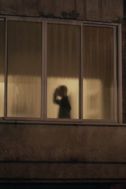 Shadow Puppets (2013) poster
