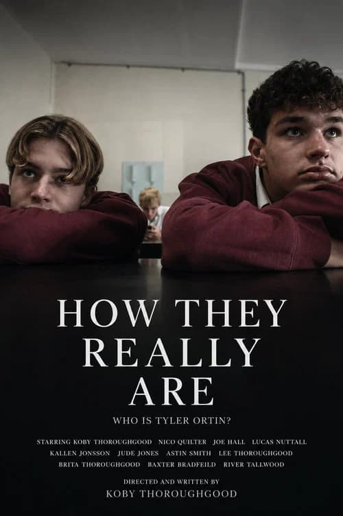 How They Really Are poster