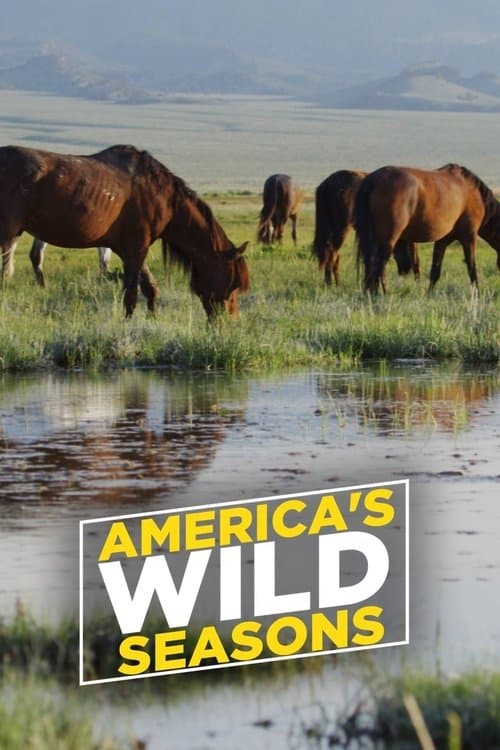 America's Wild Seasons (2019) poster