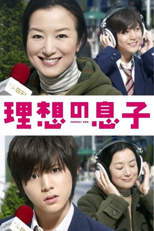 Perfect Son (2012) poster