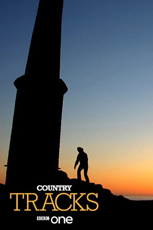 Country Tracks (2009) poster