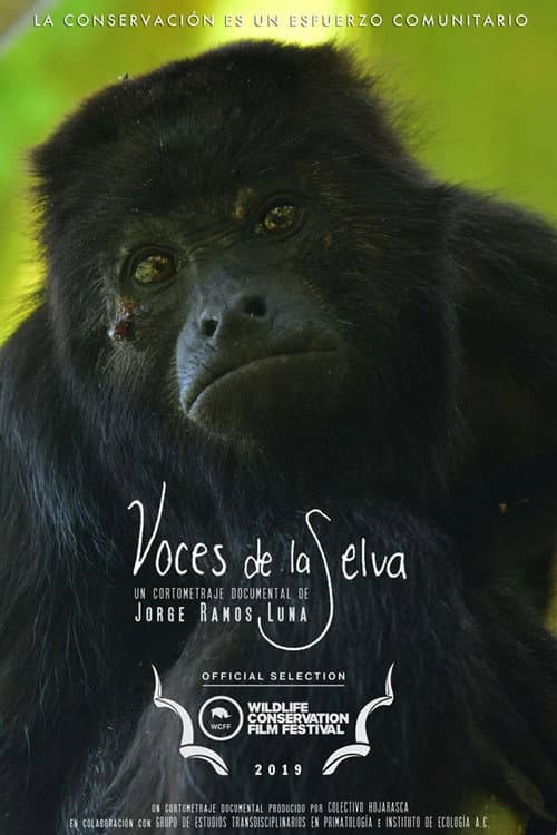 Rainforest Voices poster