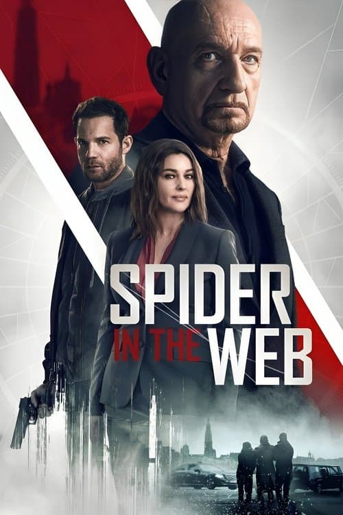 Spider in the Web (2019) poster