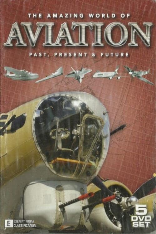 The Amazing World of Aviation (2013) poster