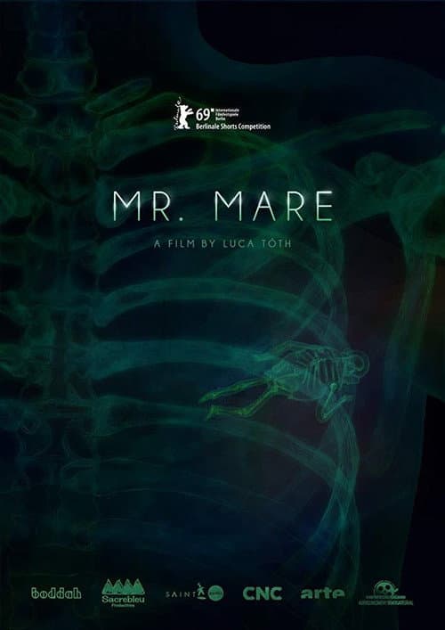 Mr. Mare (2019) poster
