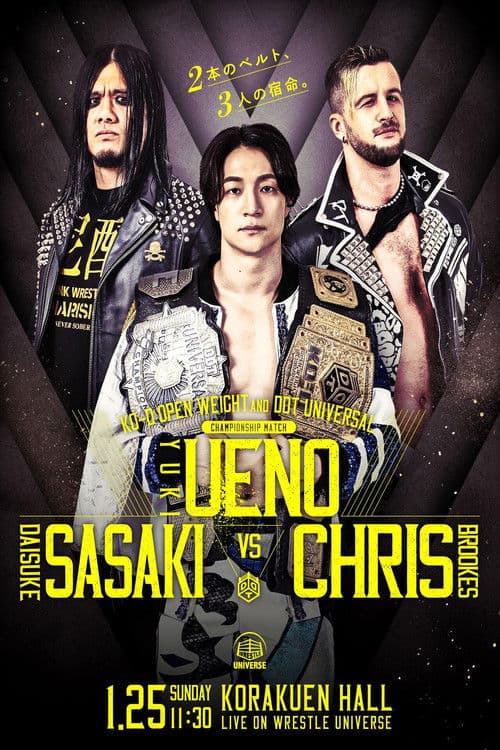 DDT Mission in Battle ~new year splendor~ poster