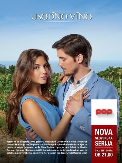 Fatal Wine (2015) poster