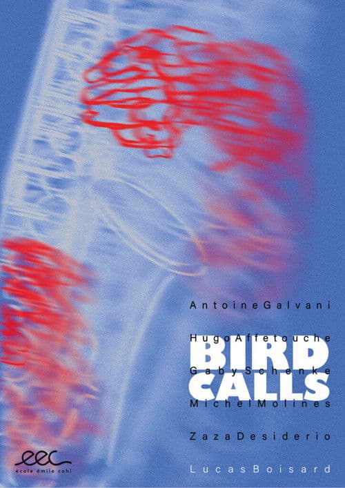 Bird Calls (2025) poster