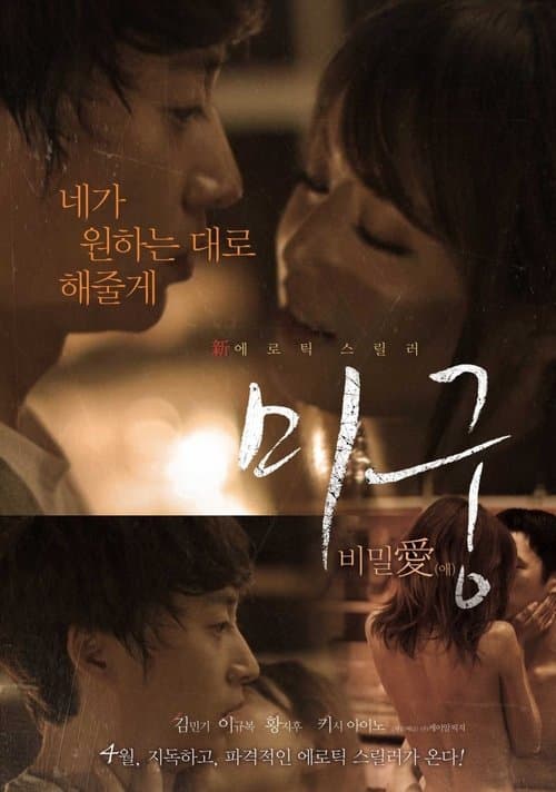 Maze: Secret Love (2015) poster