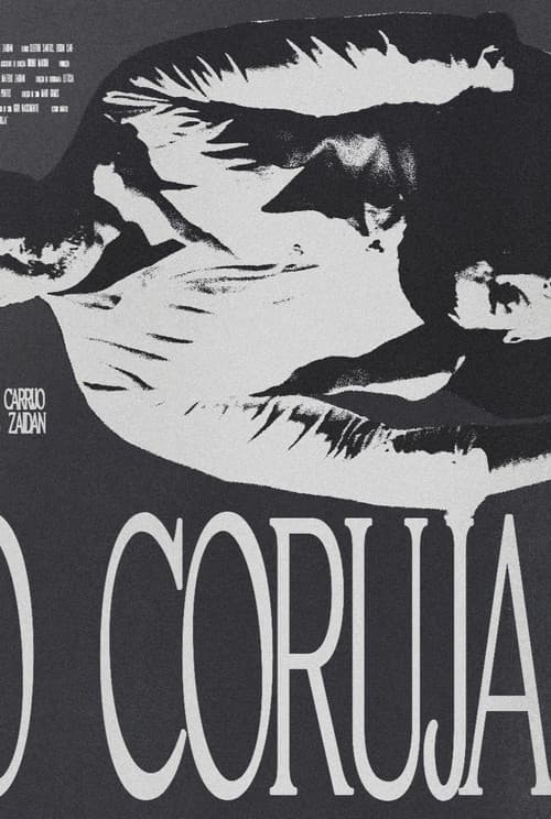 The Owl poster