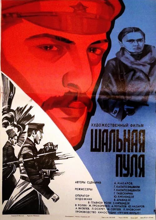 Stray Bullet (1980) poster