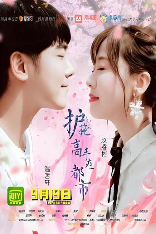 护花高手在都市 poster