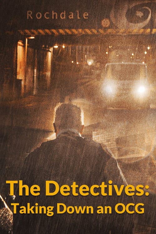 The Detectives: Taking Down an OCG (2023) poster