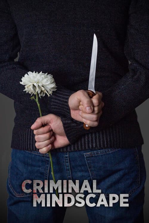 Criminal Mindscape poster